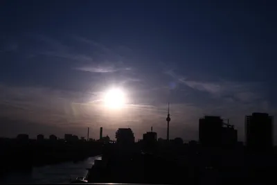 DSC_1783 (Large).JPG